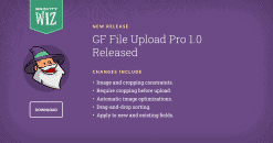 Download Gravity Forms File Upload Pro GPL WordPress Plugin