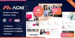 Agni - Consulting Business