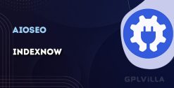 Download AIOSEO - IndexNow