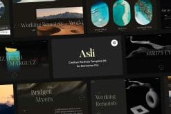 Asli - Creative Portfolio Elementor Pro Template Kit