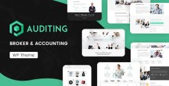 Auditing | Accounting Consultant
