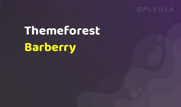 Download Barberry - Modern WooCommerce Theme