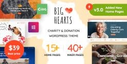 Download BigHearts - Charity & Donation WordPress Theme GPL WordPress Plugin