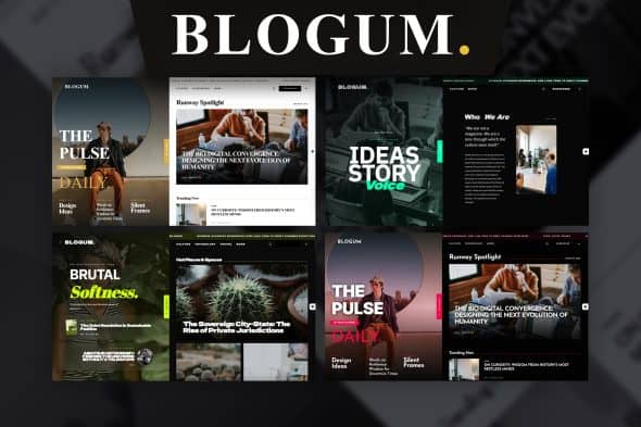 Download Blogum GPL WordPress Plugin