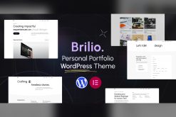 Download Brilio - Personal Portfolio WordPress Theme GPL WordPress Plugin