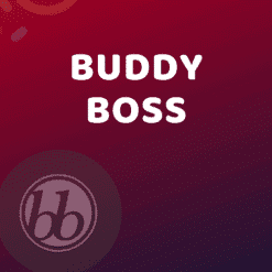 BuddyBoss Themes