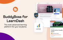 Download BuddyBoss LearnDash GPL WordPress Plugin