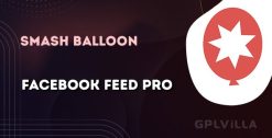 Download Custom Facebook Feed Pro