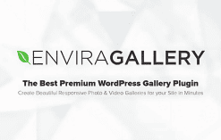 Download Envira Gallery - Google Photos Addon GPL WordPress Plugin