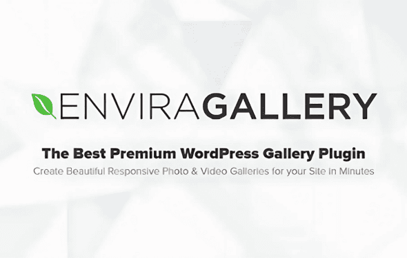 Download Envira Gallery - Google Photos Addon GPL WordPress Plugin