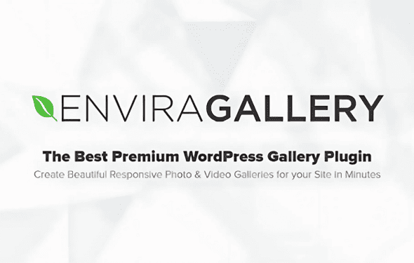 Download Envira Gallery - TikTok Addon GPL WordPress Plugin