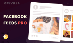 Facebook Feeds Pro