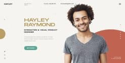 Download Hayley - Personal CV/Resume WordPress Theme