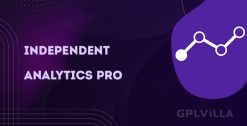 Download Independent Analytics Pro