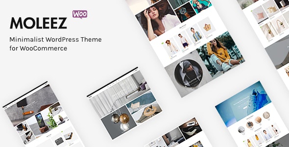 Download Moleez - Minimalist WordPress Theme for WooCommerce