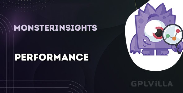 Download MonsterInsights – Performance Addon