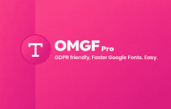 Download OMGF Pro GPL WordPress Plugin