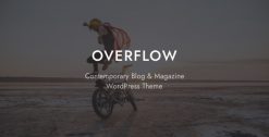 Download Overflow - Contemporary Blog & Magazine WordPress Theme