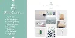 Download PineCone - Creative Portfolio and Blog for Agency