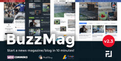 BuzzMag - Viral News WordPress Magazine/Blog Theme