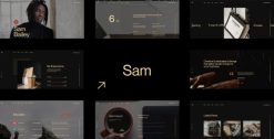 Download Sam Bailey - Personal CV/Resume WordPress Theme