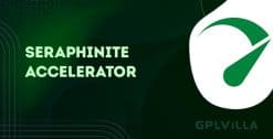 Download Seraphinite Accelerator (Full)