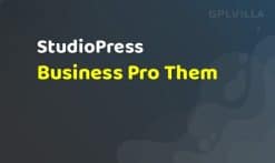 StudioPress Business Pro Them