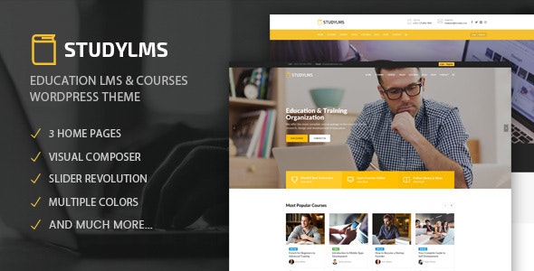 Download Studylms - Education LMS & Courses WordPress Theme