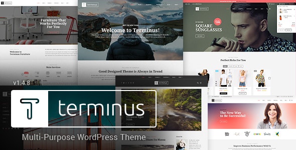 Download Terminus - Responsive Multi-Purpose WordPress Theme