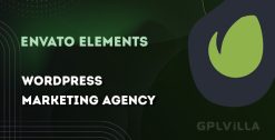 Download WordPress Marketing Agency – Ads Pro MA add-on